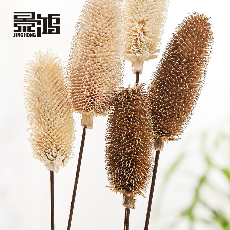 ������ë��/��԰װ�λ�