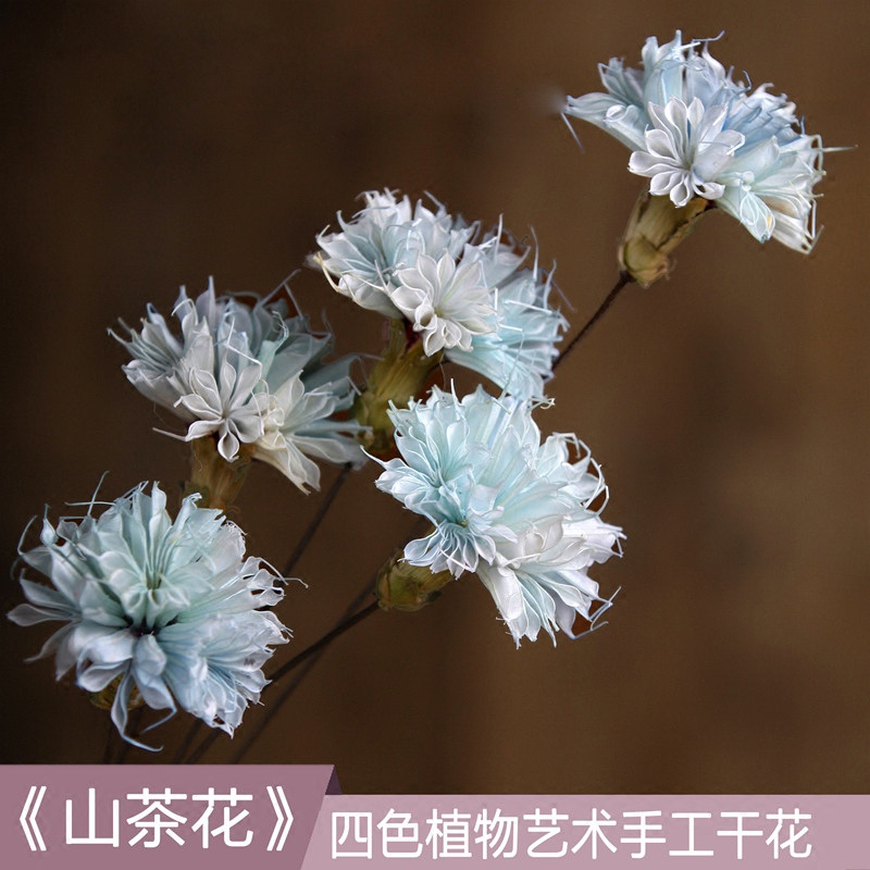 ŵ������ŷʽ�ɻ����滨