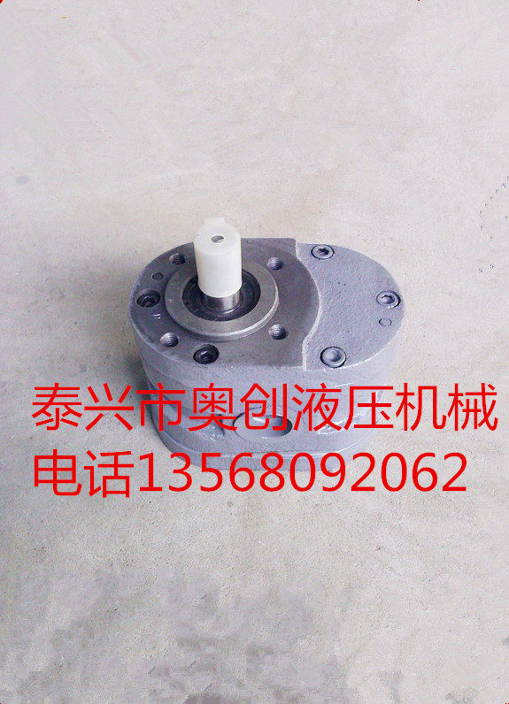 M7130 Flat grinding machine oil pump HY01 (CBJ) gear pump HY01-70X25 oil transfer pump HY01-50X25