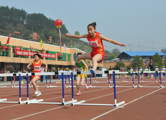Guangdong hot sale school sports equipment ABS plastic steel competition training type 100-meter hurdles adjustable lifting