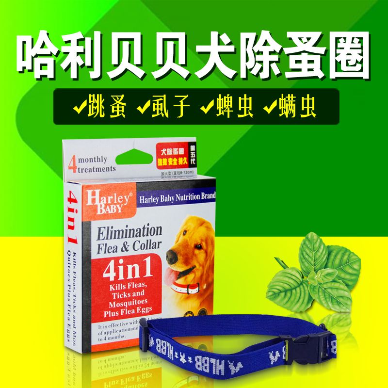 Halibebe pet pooch with removal of lice except flea flea collar teddy gold wool dog neck ring dog flea ring insect-killing