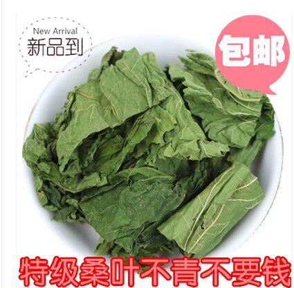 New pure mulberry leaf mulberry leaf tea frost mulberry leaf 500g 15 yuan
