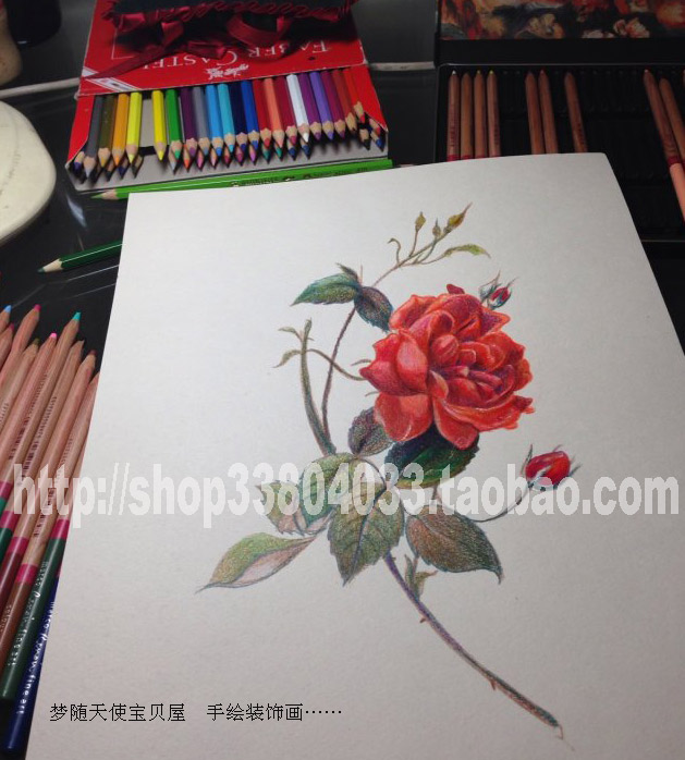 Pure hand painted lead painted rose colored pencil rose hand-painted manuscript Birthday Wedding Celebration