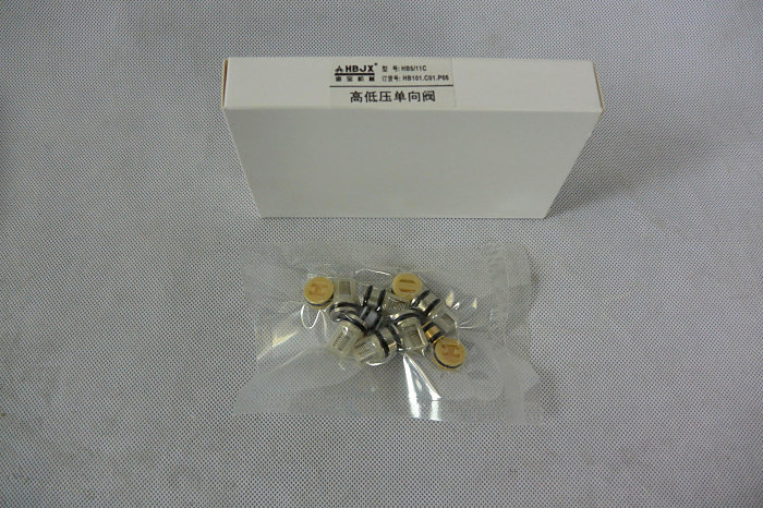 Haibao HB5 11C high pressure cleaning machine accessories car washing machine accessories high and low pressure check valve