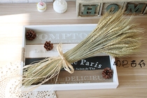 Natural dried flowers wheat ears rice hay real flowers pastoral photo background props