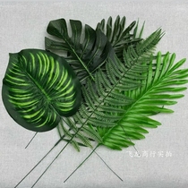 Nordic minimalist ins simulation leaves tropical plant coconut tree turtle back leaves photo props shooting background ornaments