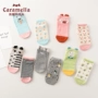 CARAMELLA2018 vớ cotton mùa xuân và vớ mới tất bàn nữ