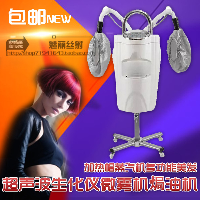 Ultrasonic Biochemical Instrument Micromist Machine Heating Oil Machine Heating Cap Steam Machine Multifunction Beauty Hair Care New