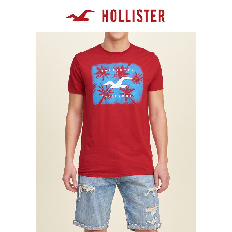 Hollister 标识图案 T 恤 男 124727