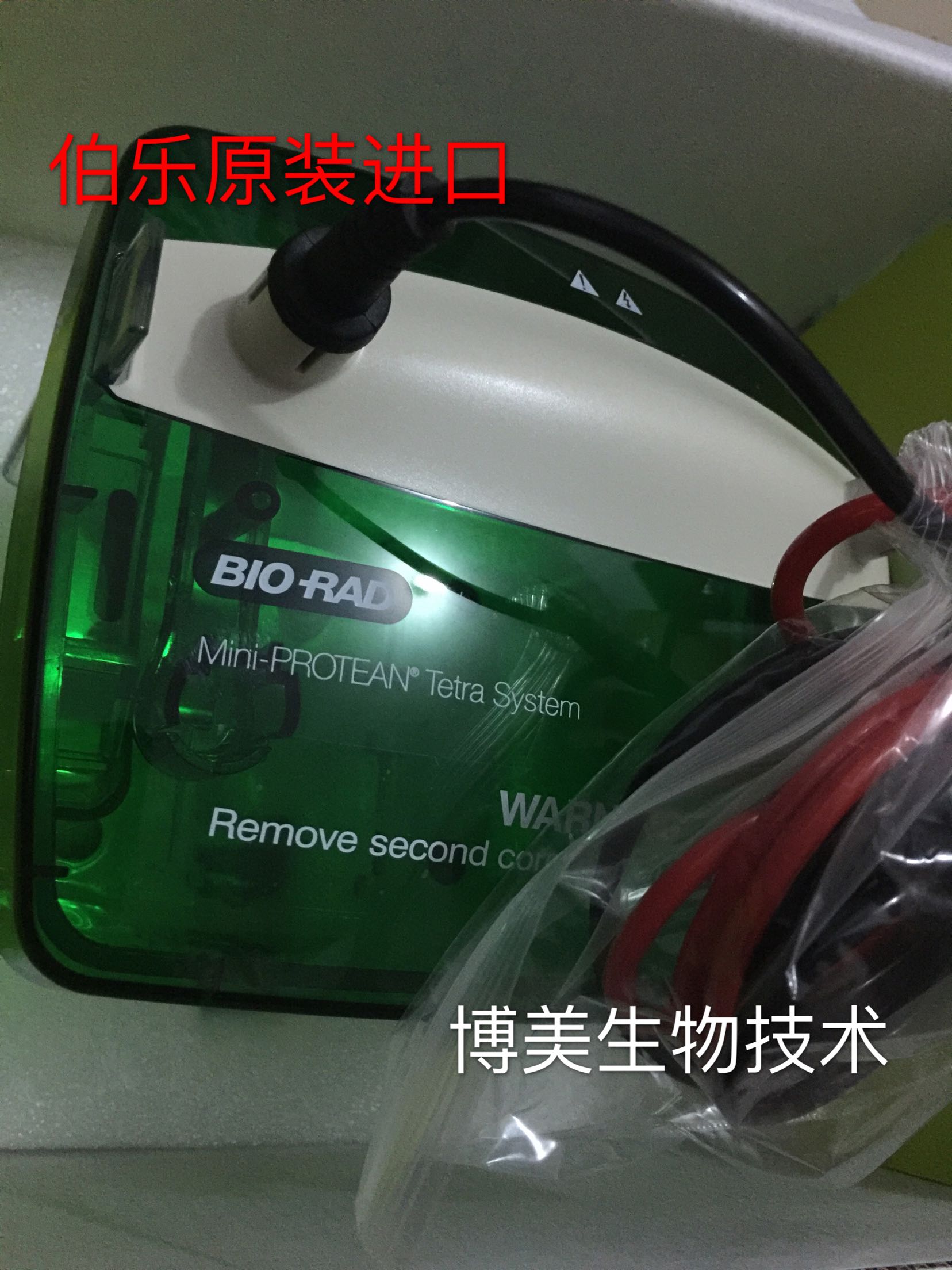 bio-rad伯乐小型垂直电泳槽 (只有槽子和盖子)  1658040