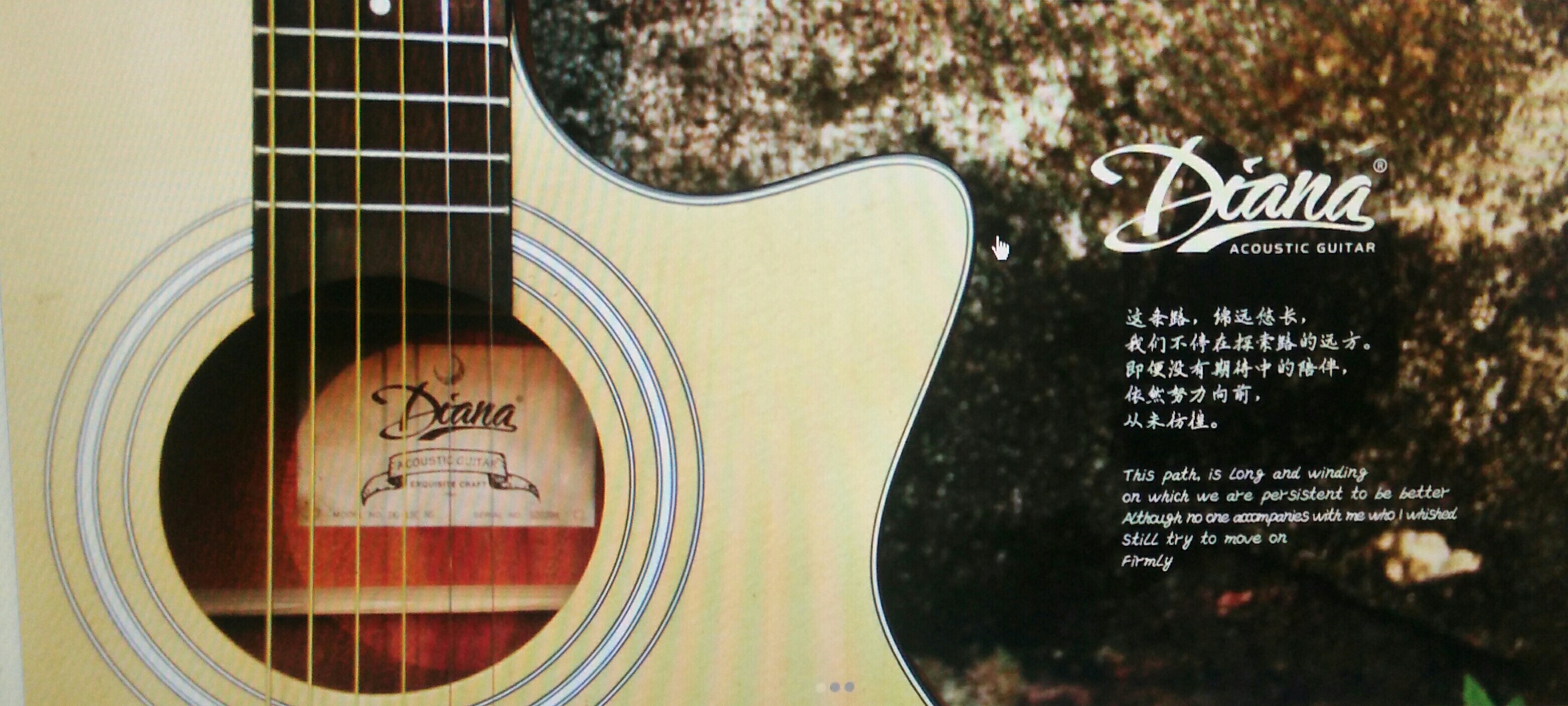 National Special Offer Bryant Diana Spruce Vertical Folk Guitar DD20CNS