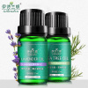 伊诗兰顿痘痘痘印肌肤适用 面部护肤套装 薰衣草+茶树精油庄园版