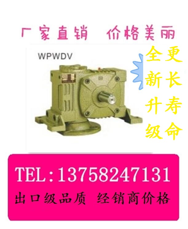 WPWDV Universal Type Motor Down Mounting Vertical Horizontal Turbine Reduction Box Worm Wheel Worm Rod WPW Speed Reducer