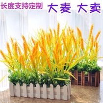 Plastic flower arrangement Small barley spike fence fake flower simulation floral suit living room home decoration decoration