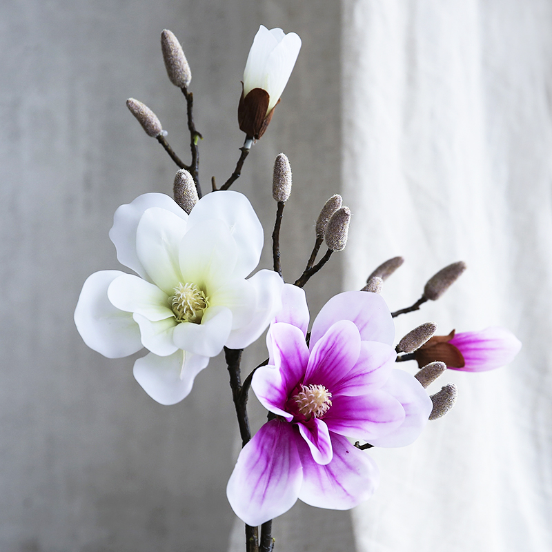 Bixuan�Ƶ�����װ�λ��ڼ�