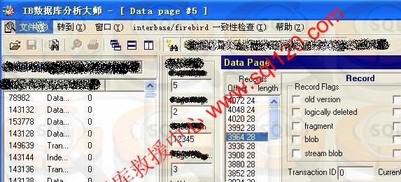 Interbase database repair of the Firebird database repair