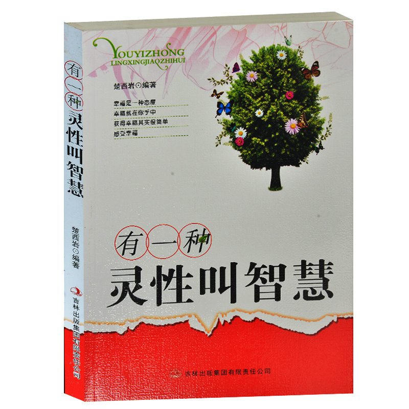 有一种灵性叫智慧 成功励志书系列 中小学生课外书 正版现货当天发 青少年成长必读书良好性格品格美德培养 小学生4-6年级课外读物