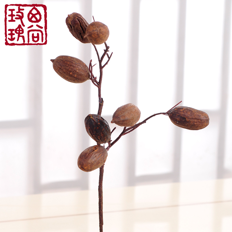 ����õ�����ɹ�֦װ�μٻ�