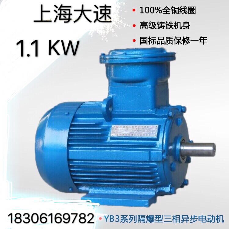 Explosion - proof motor three - phase motor three - phase motor - 90S - 4 1 1KW