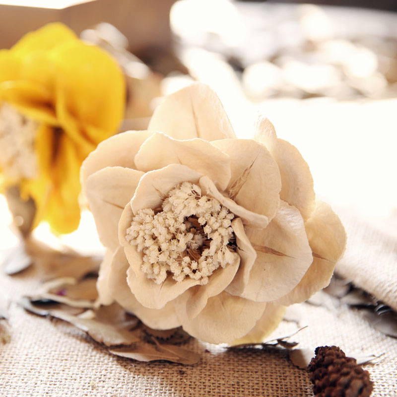 �ԡ�ױ�Ҿ�װ��Ʒ���滨��