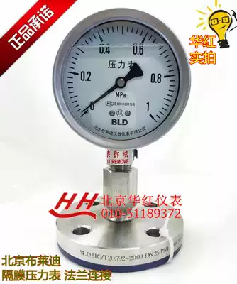 Support Beijing Brady Flange Diaphragm Pressure Gauge PYTHN-100 AO F2B