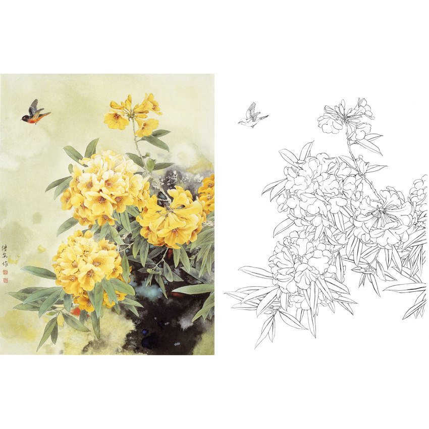 Work Stroke White Sketching Manuscript Physical Hook Print Manuscript Zou Chuan'an Flower Bird 66 * 87 with colored pattern 546T