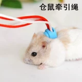 Добавить карту хомяка белка норк