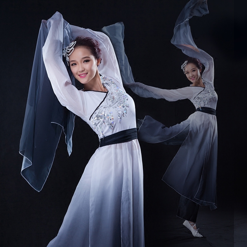 Chinese Folk Dance Costumes Watersleeve Dance Dress Ink Classical Dance Performance Dress Female Dance Practice Dress Adult Zaiwei Dance Modern Dance