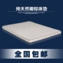 Tự nhiên cọ dừa cọ nệm tatami mềm 1,5 m 1,8 m Simmons nệm 5cm nệm custom-made mat - Nệm đệm trải giường