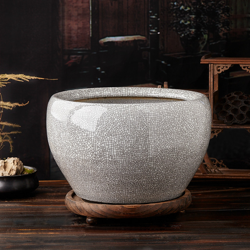 �����������մ�������yg30