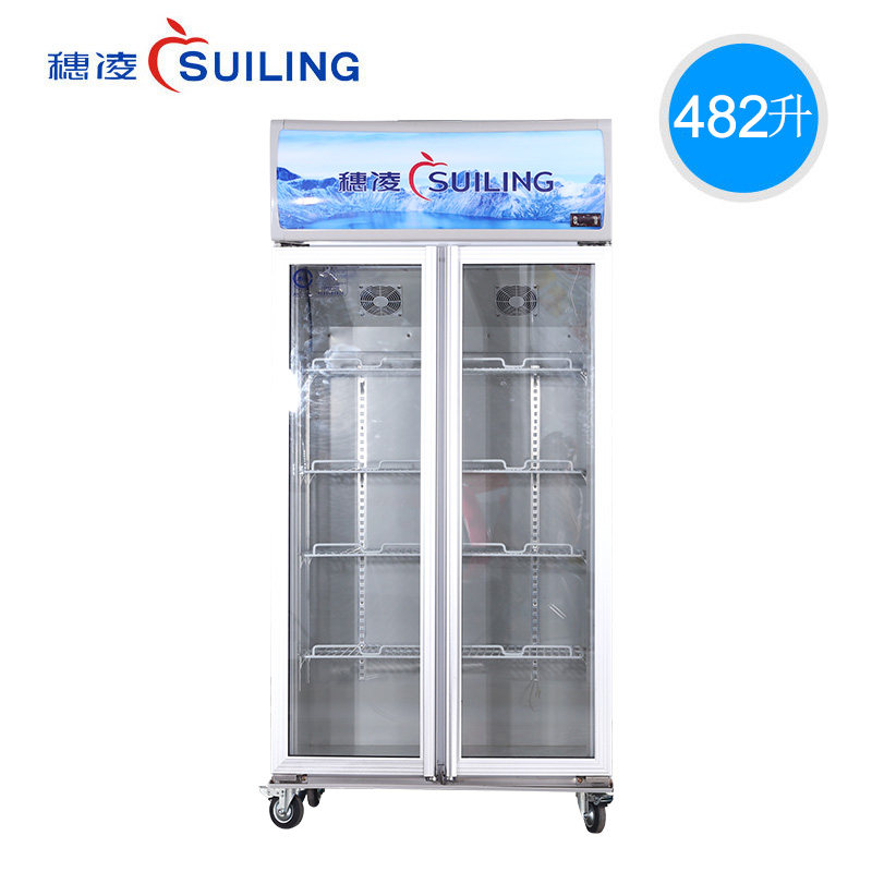 ����˫�ű��� LG4-482M2F