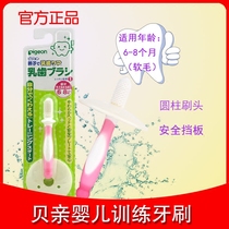 Beloved Imported Toothbrush Milky Tooth Toothbrush Soft Hair Baby Training Toothbrush 6-36 Month Protective Teeth Staged Toothbrush