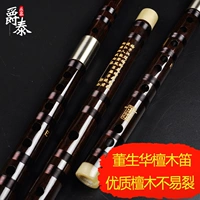 Dong Shenghua, sáo mun, sáo, sinh viên tre, g, f, biểu diễn chuyên nghiệp, người mới bắt đầu, giới thiệu về nhạc cụ, sáo - Nhạc cụ dân tộc ống sáo