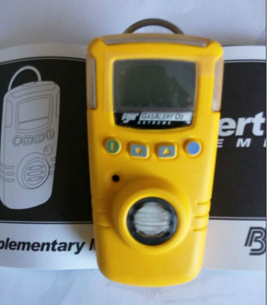 BW imported GAXT-D nitric oxide gas detector concentration alarm instrument Another oxygen measuring instrument