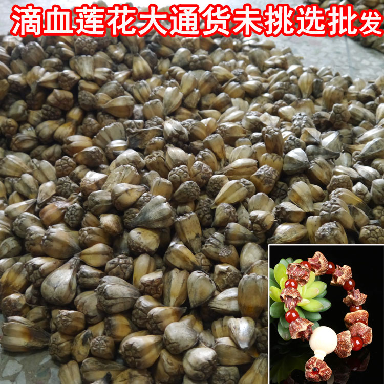 Push 500 g 2 g of blood lotus rashenu seed drop of blood lotus bodhi raw seed batch