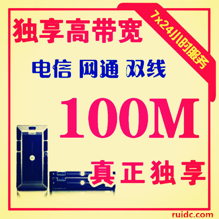 Telecom Independent IP 1U Computer Room Hosting Server 100M Hosting 100M Exclusive