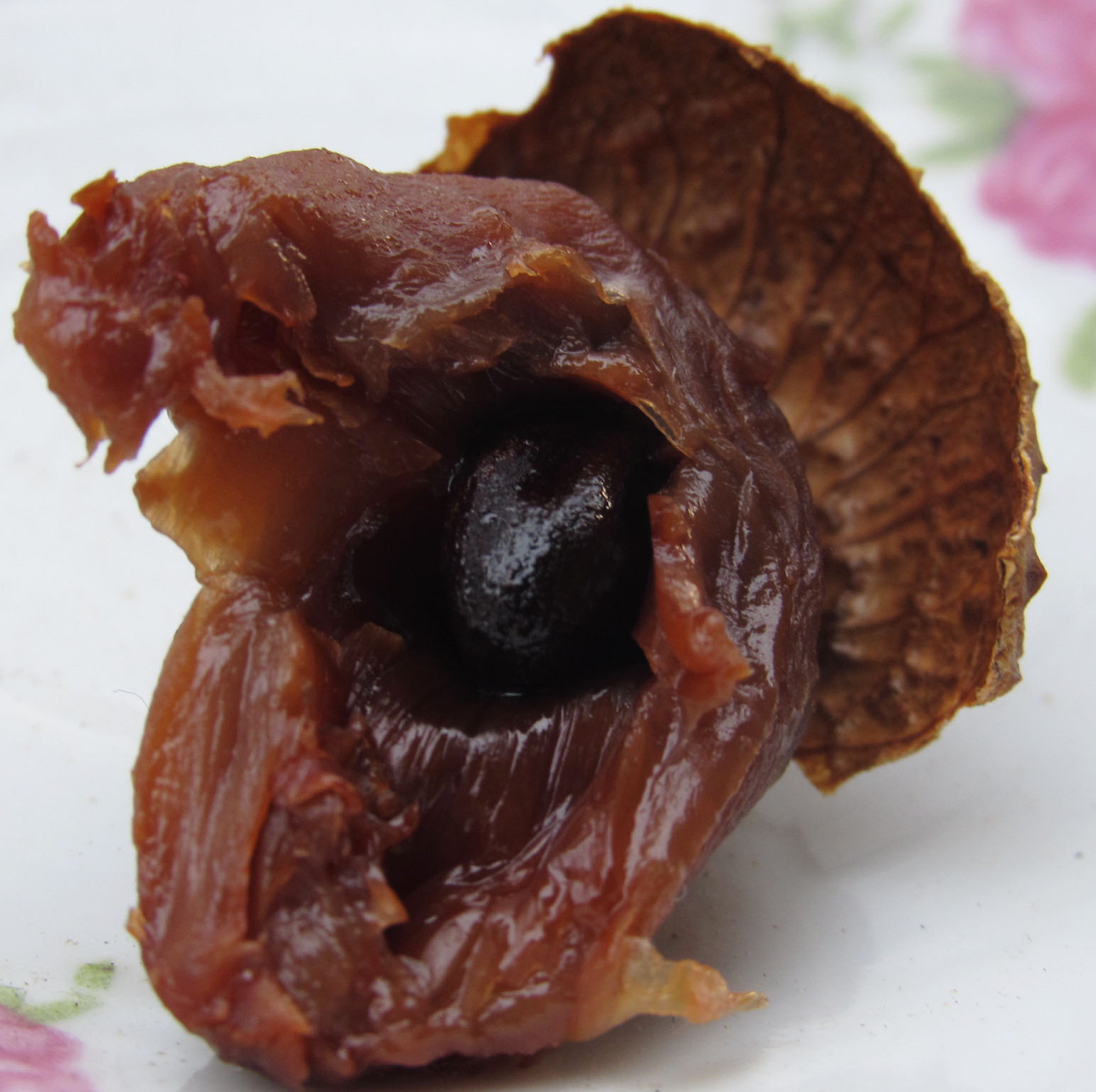 Fujian lychee dry 2021 New cargo dried fruits small and medium nuclear 500 gr special price