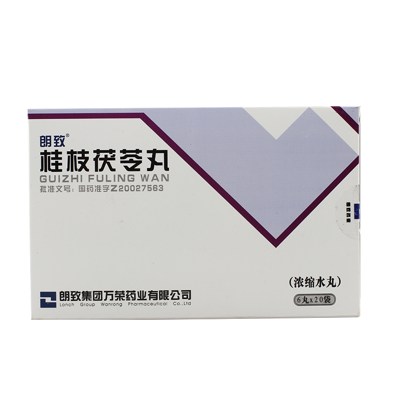 朗致 桂枝茯苓丸（浓缩水丸） 0.22g*120丸/盒