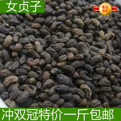 野生女貞子女貞實冬青子女真子女貞子茶明目烏髮500克包郵