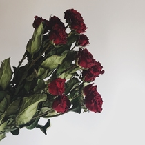 Dried flower bouquet Multi-head rose Neon bubble rose flower ins decoration Natural DIY flower decoration shooting props