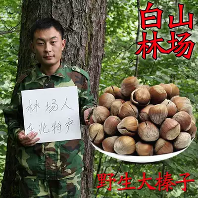 Northeast specialty Yichun wild cooked big hazelnut original hazelnut hand choice big woman snack nut 250g special