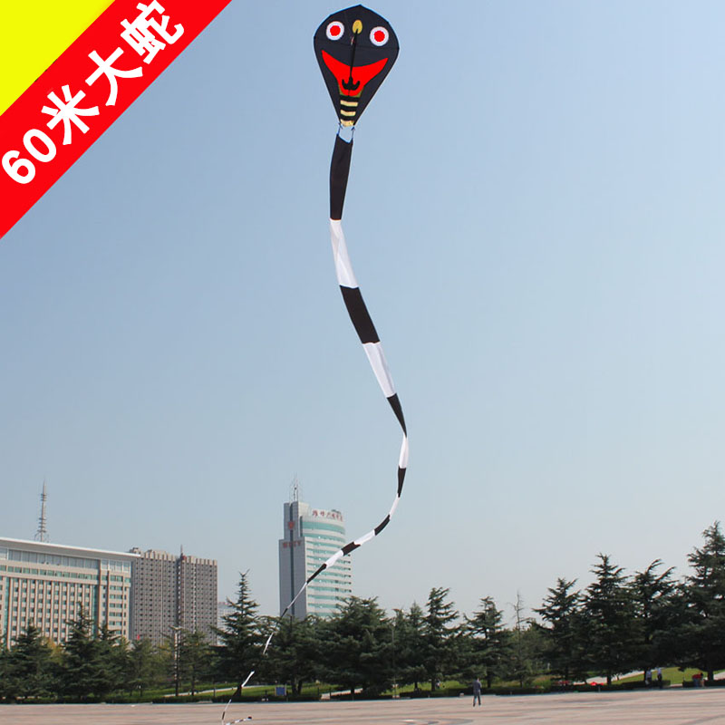 60 m large snake Weifang kite breeze takes off gorgeous and colorful large kite