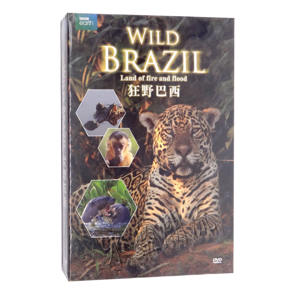 正版高清纪录片 BBC 狂野巴西 盒装DVD9 自然动物 英语原声