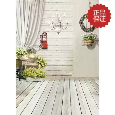 Korean photo studio photography background wedding dress children Taobao clothes photo background cloth digital background large picture 3169