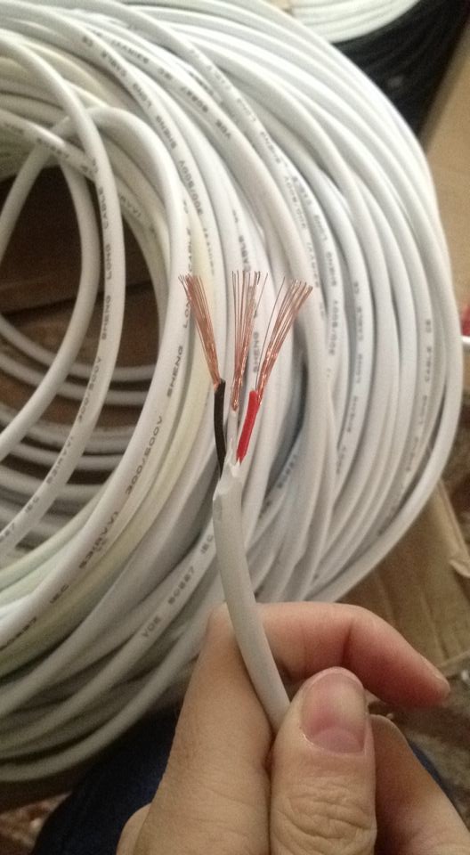 Non-visible building talkback Main trunk RVV3 * 0 3 3 * 16 root 0 16 pure brass wire 1 m