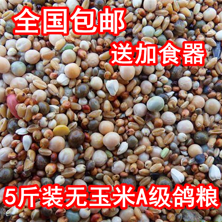 Pigeon grain without corn pigeon grain nutritious feed bird food pigeon pigeon pigeon pigeon pigeon grain 5