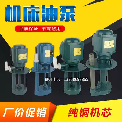 DB-12 water pump 40W machine tool cooling pump 90W lathe pump AB-25 DB-100 machine tool oil pump three-phase electric pump