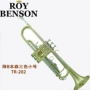 ROY benson / Đức Benson thả B cấu ​​hình nhập khẩu nhạc cụ nhỏ hoạt động tốt âm thanh tinh khiết - Nhạc cụ phương Tây violon