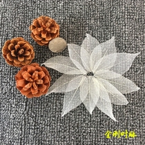 Diamond leaf vein specimen dry flower white vein specimen DIY bookmark painting handmade glue drop flower material mesh leaf