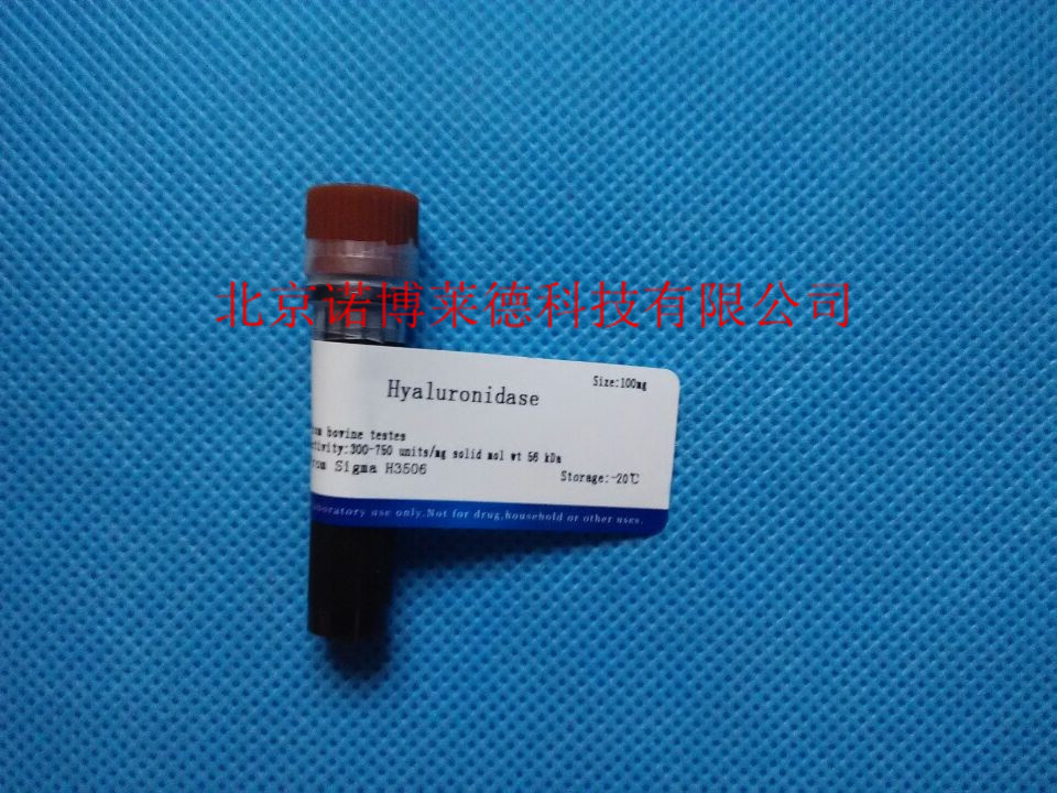 透明质酸酶  100mg 37326-33-3